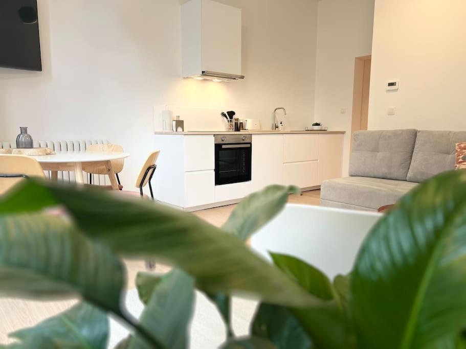 L'Escapade Chic - Cathedrale, Saint Lambert Apartment Лиеж Екстериор снимка